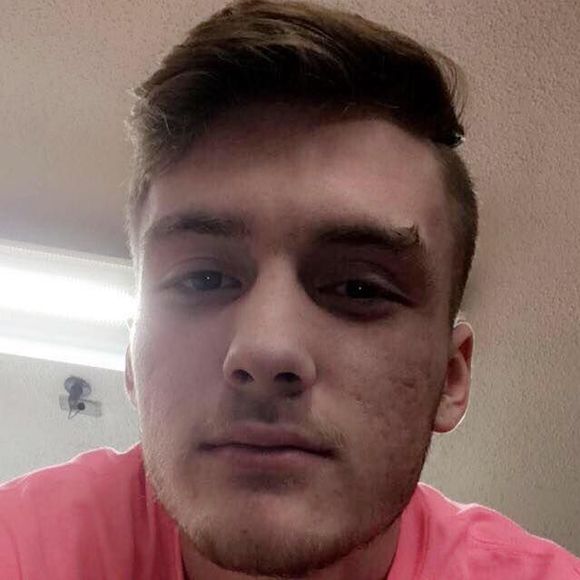 Meet your Posher, Hayden - Picture 1 of 1